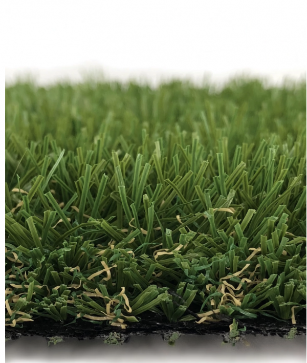 Bermuda Grass II Bermuda Grass