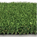 Pet Grass