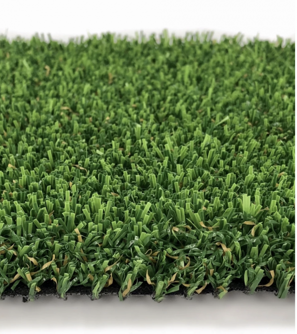 Pet Grass