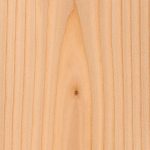 douglas-fir1