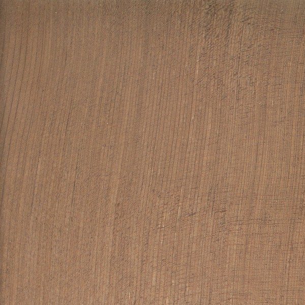 redwood California redwood